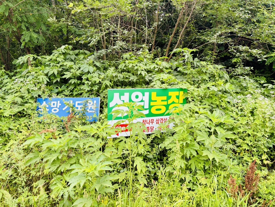 성원농장 사진 5