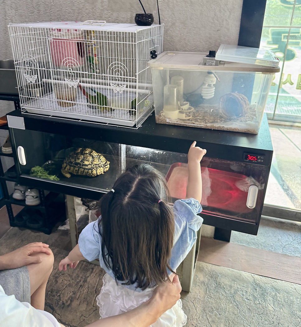 청궁염소탕 평택용이점 사진 6