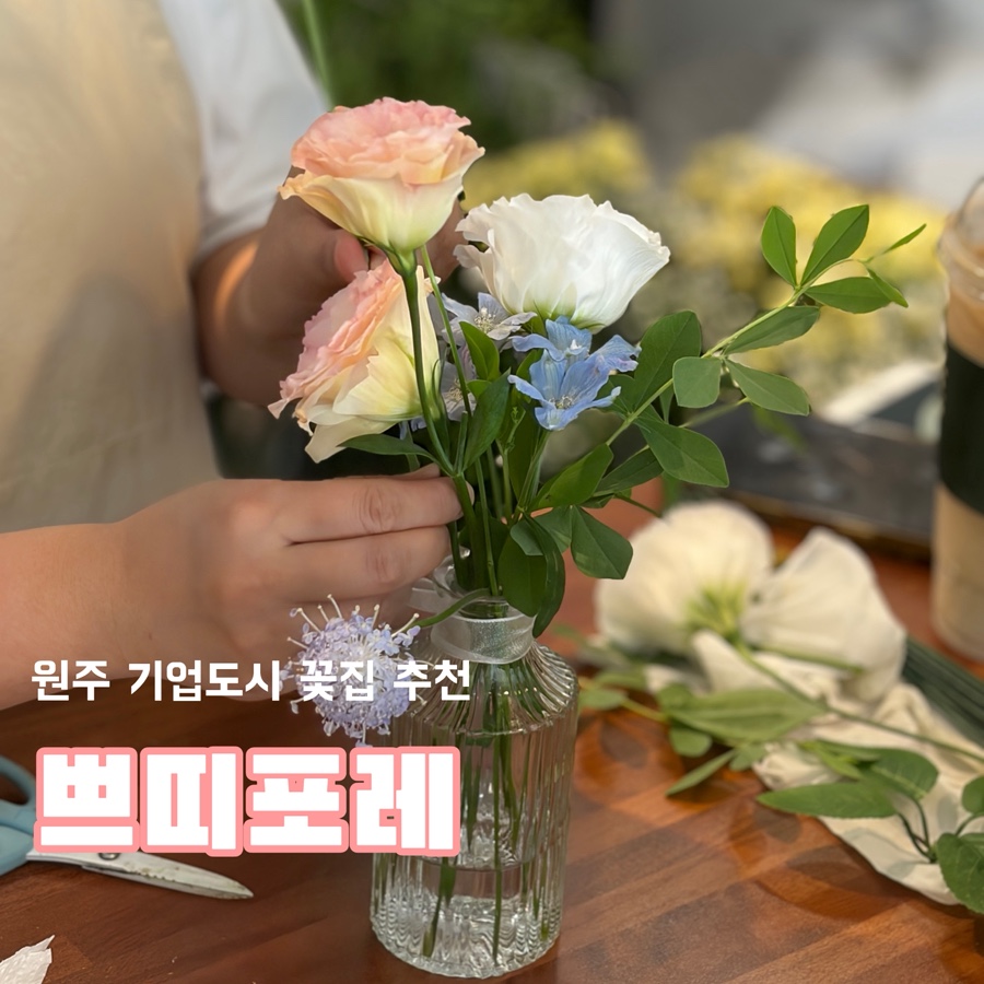 쁘띠포레 사진 1