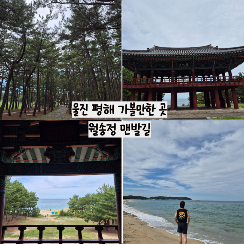 울진 가볼만한 곳 월송정 맨발산책길 해수욕장 관동팔경 부모님과 가기 좋은곳