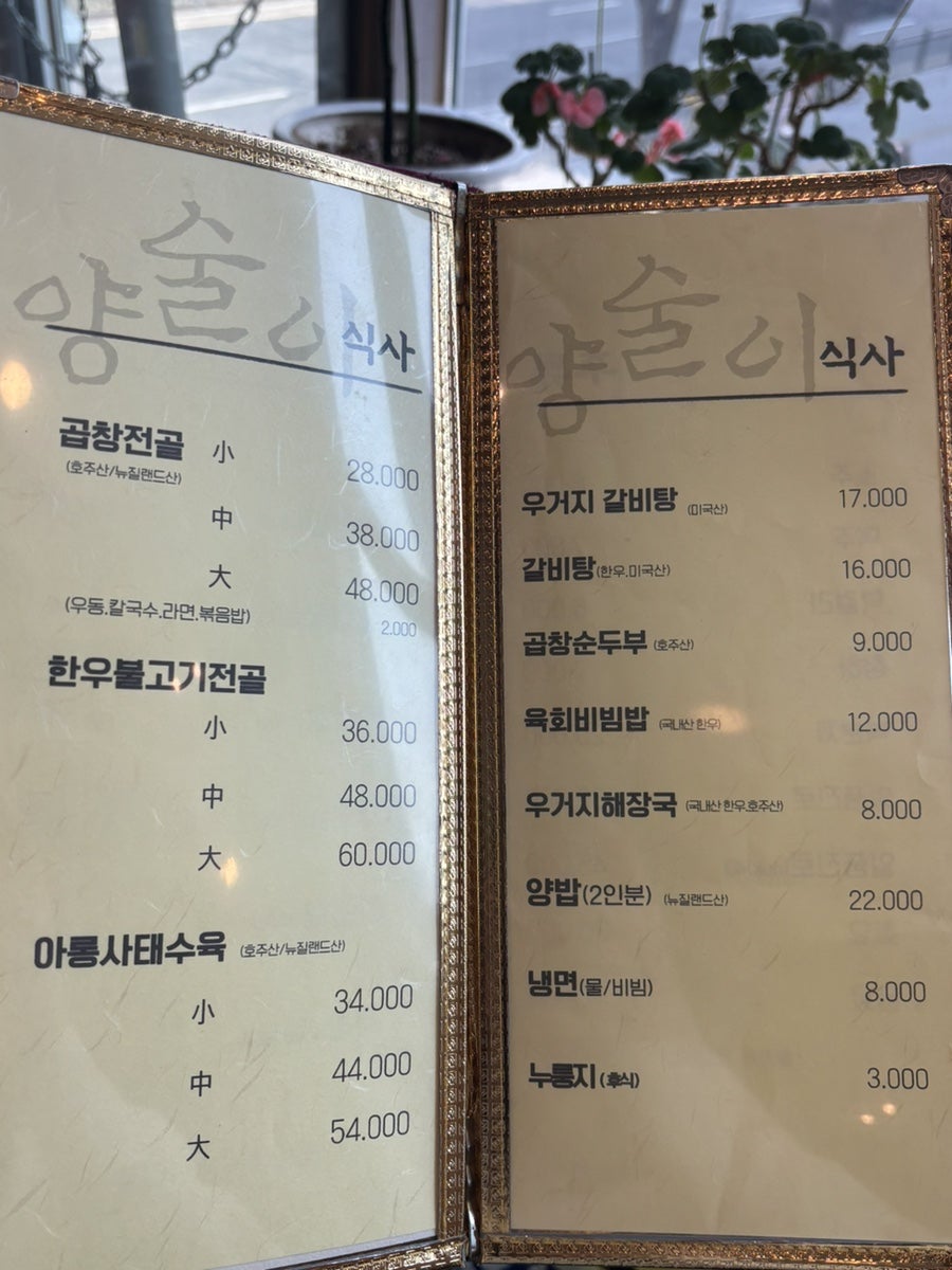 양술이 사진 5