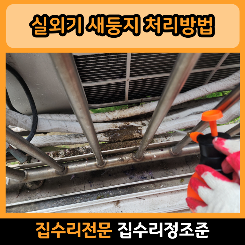 인천 주안 실외기 새둥지 처리방법 비둘기 퇴치 청소 철거 시공 업체
