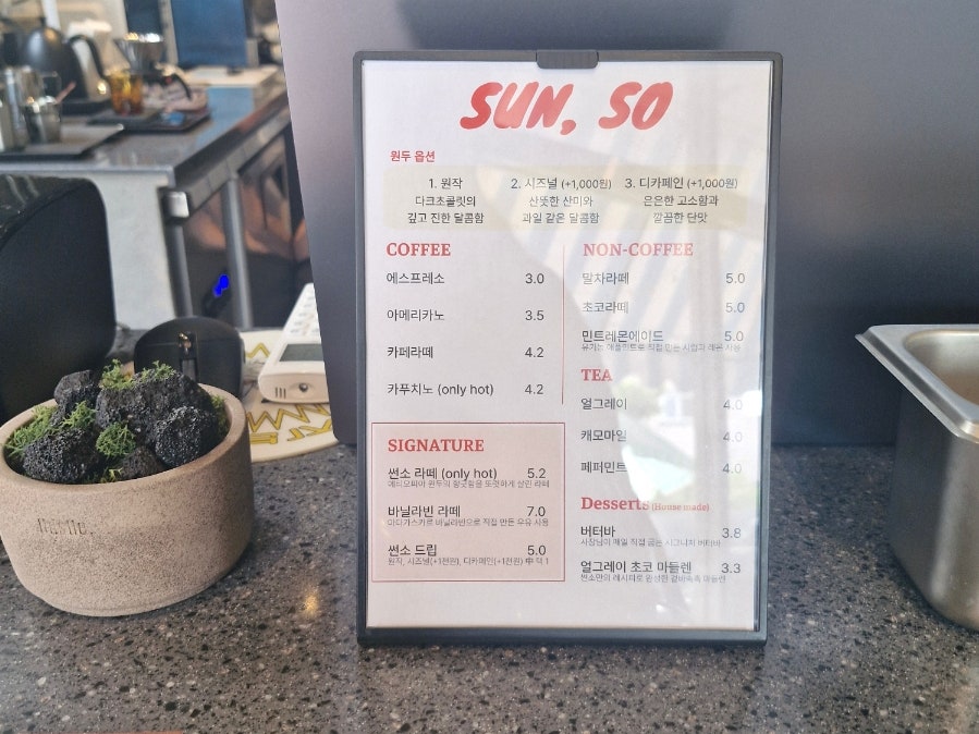 썬소 사진 5