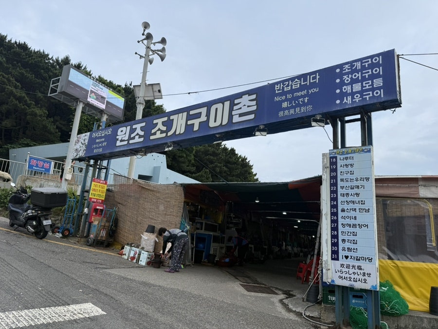 나루터 사진 1