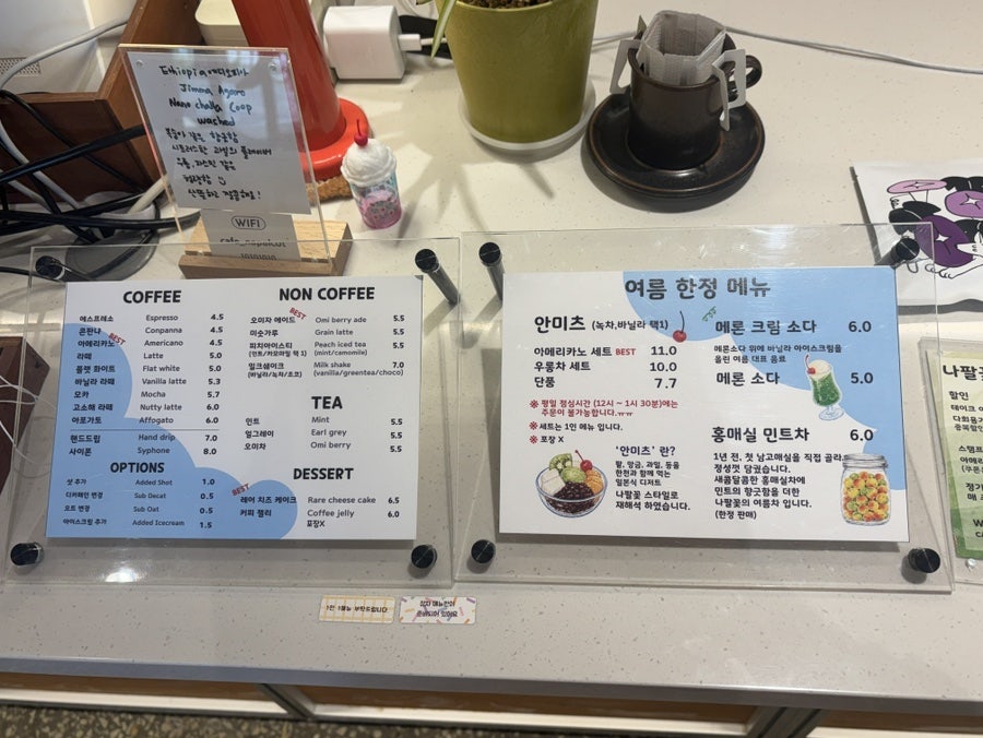 카페나팔꽃 사진 5