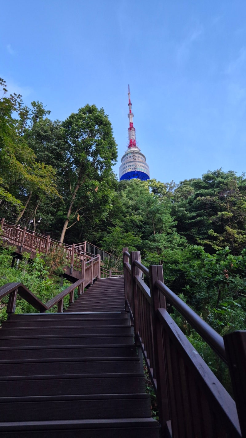 명동에서 남산 타워 걸어 가는 방법 시간 (40분)/ 남산북측숲길
