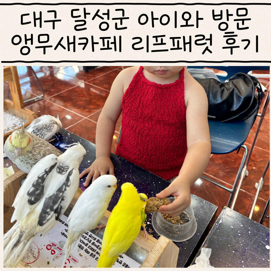 리프패럿 테크노폴리스점 사진