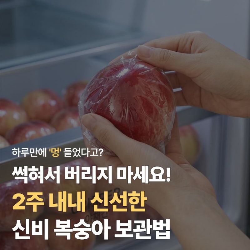 "비싼 과일 무르면 아까워요!" 딱딱이 신비복숭아 보관법