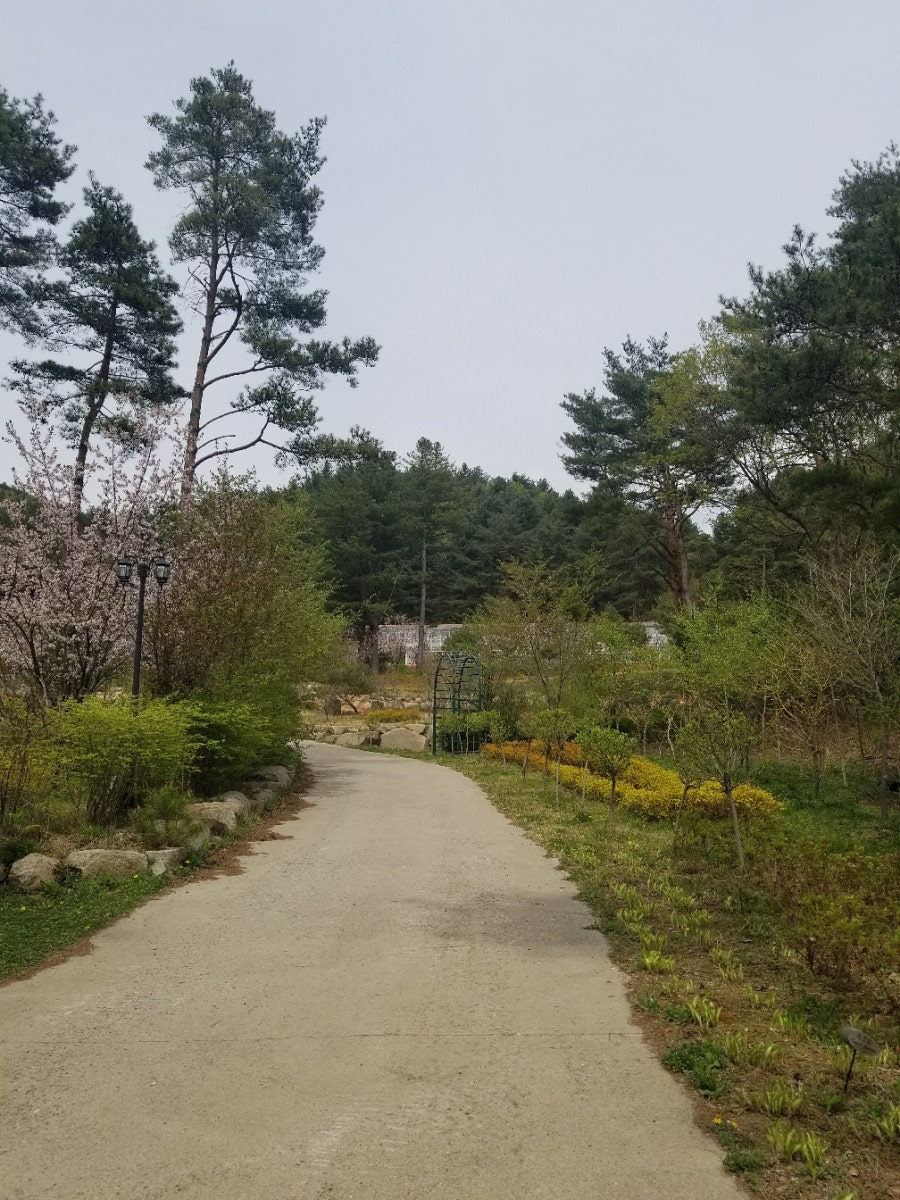 평창보타닉가든 사진 5