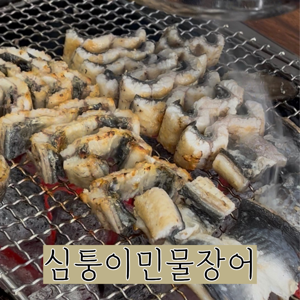 심퉁이민물장어 사진 1