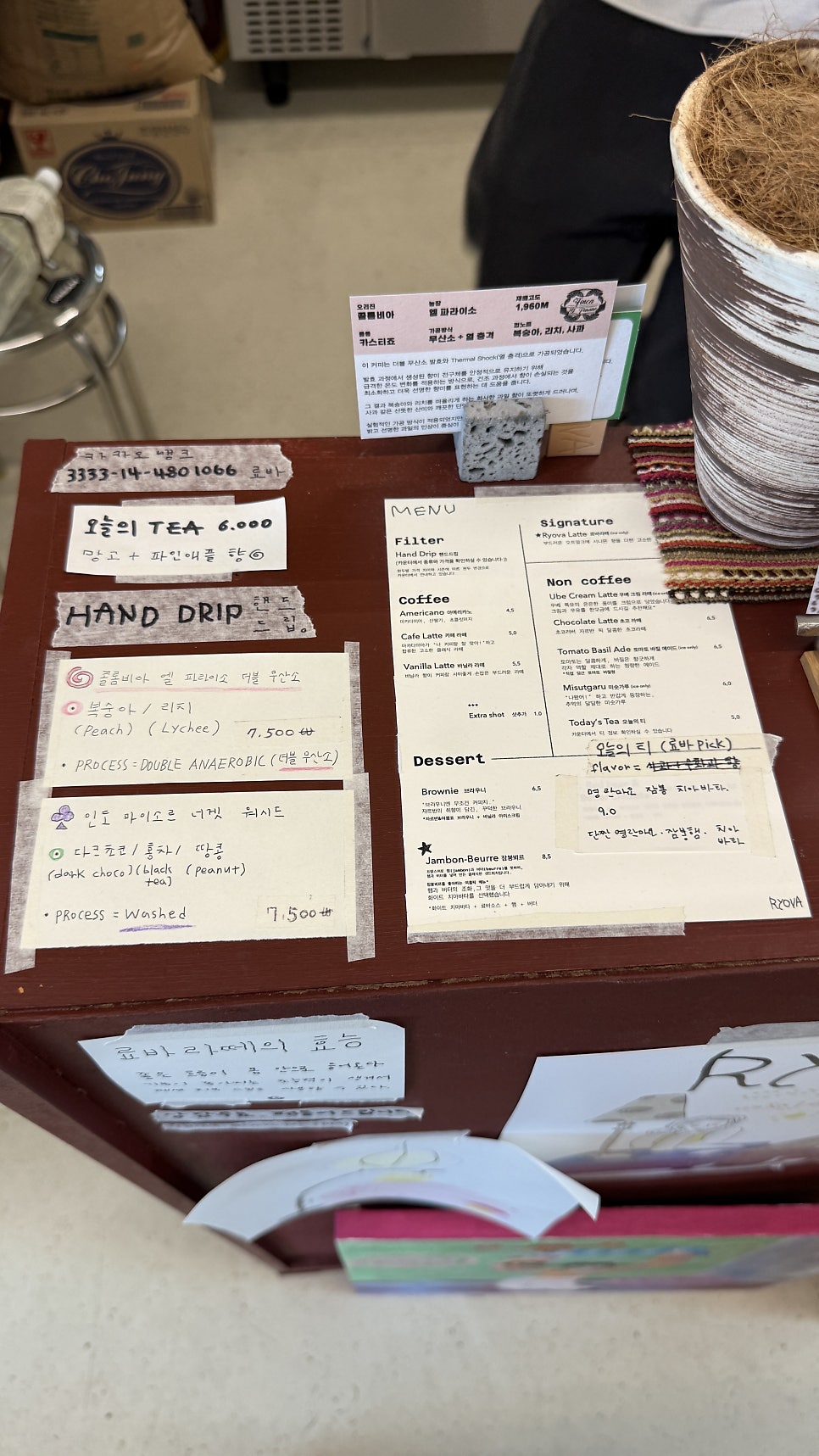 료바 사진 4