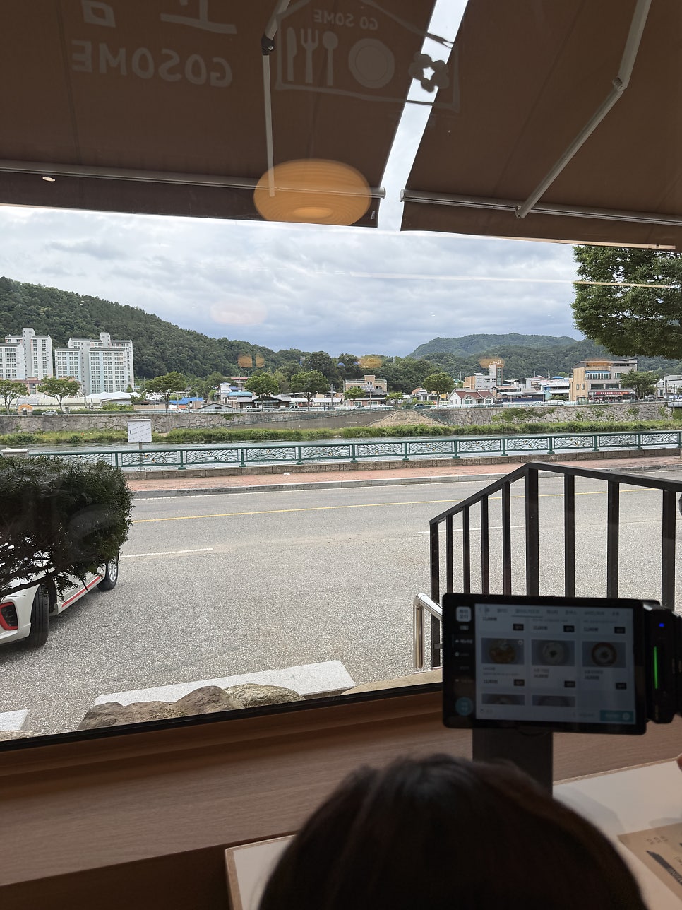 고솜 사진 4
