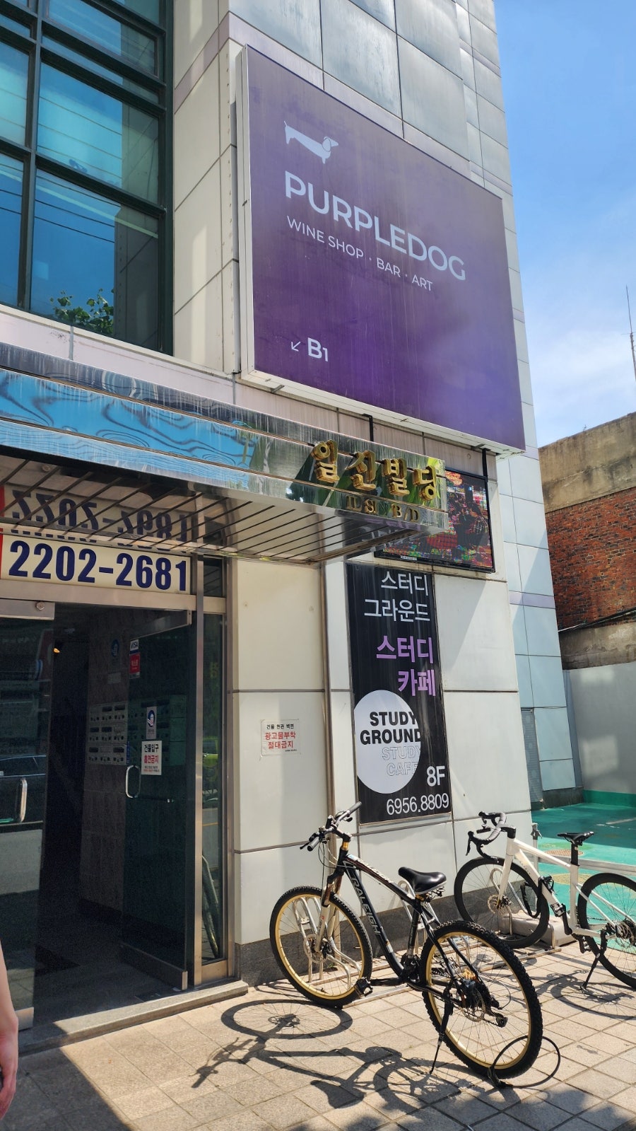 퍼플독 송파본점 사진 1