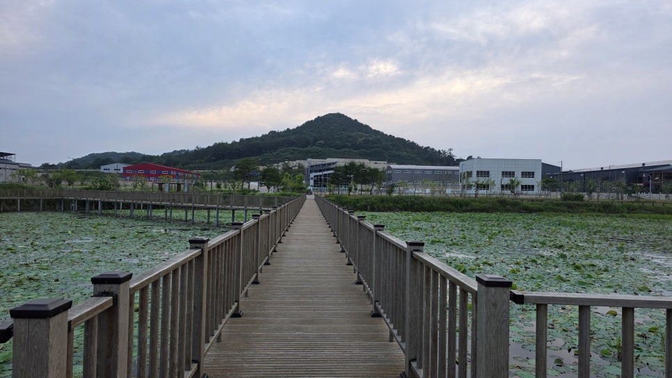 맹간제 사진 4