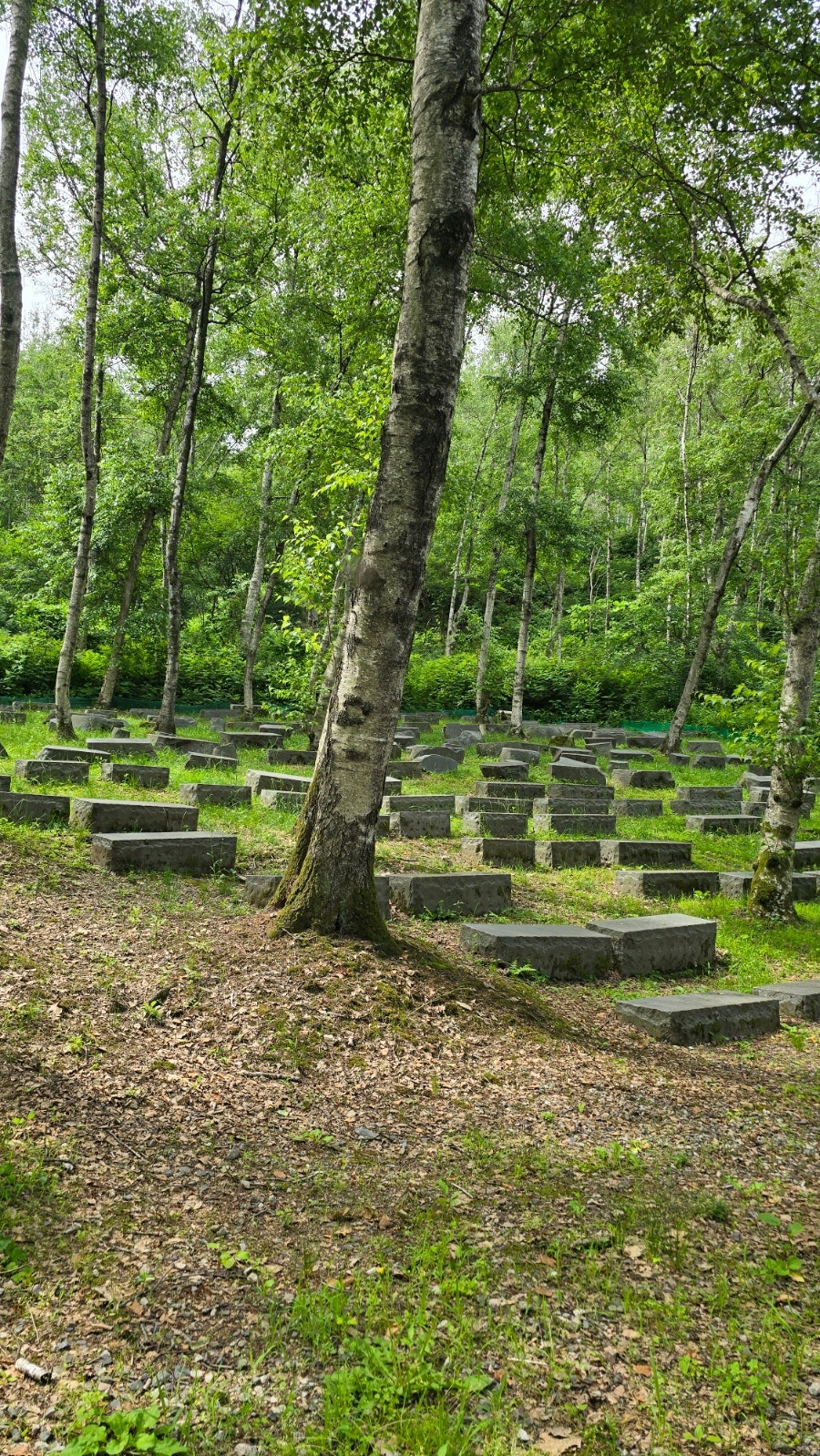 인등산 사진 2