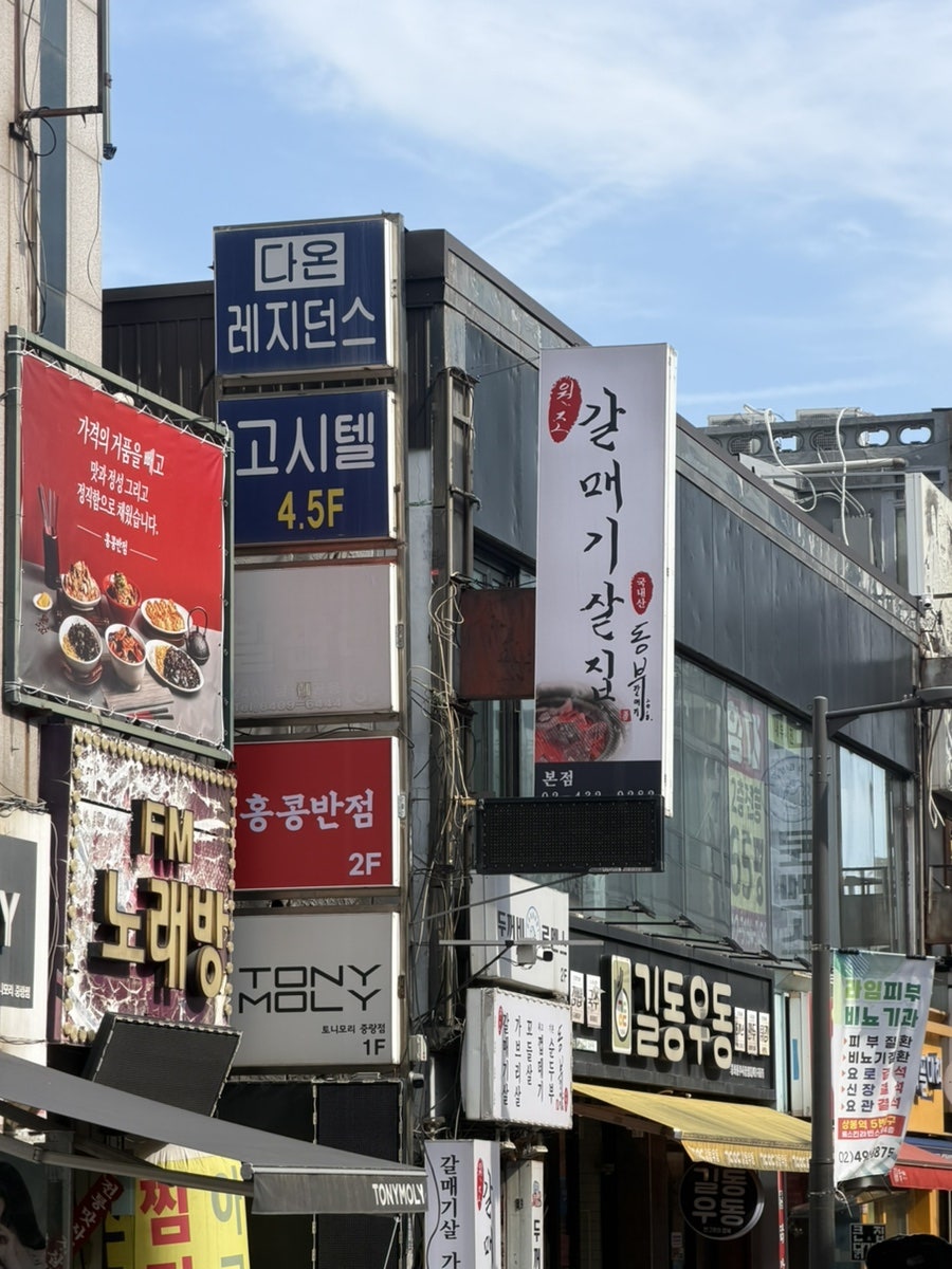 동부갈매기 사진 3