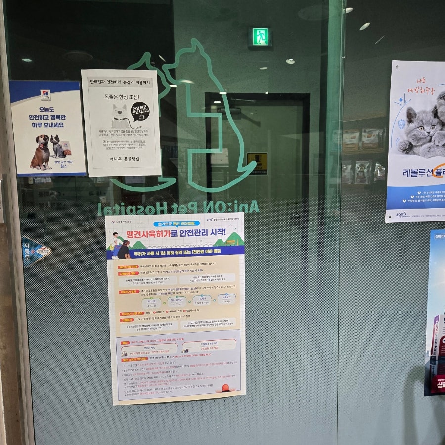 거기 사진 4