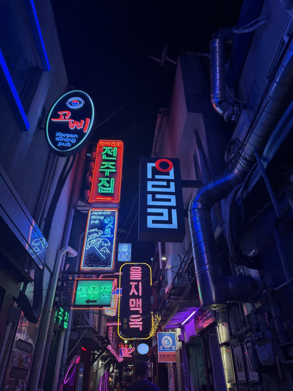 간빠진새 을지로점 사진 5