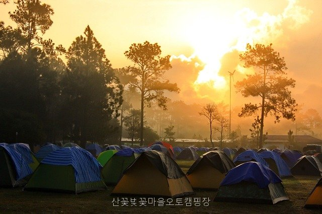 산꽃벚꽃마을 오토캠핑장 사진 4