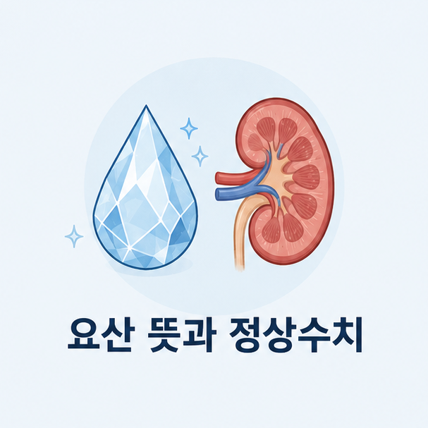 요산 뜻과 정상 수치 및 수치 낮추는 법(생활 습관 위주)