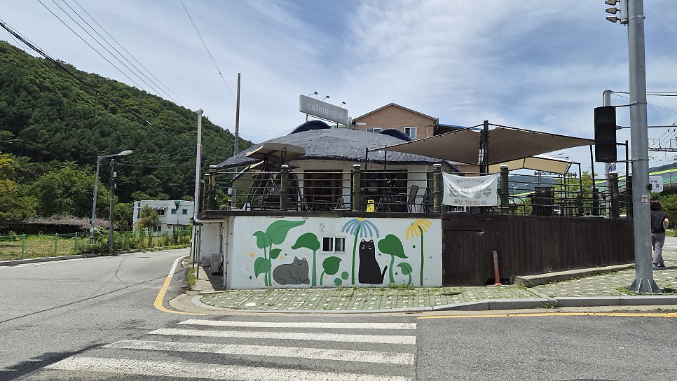 카페모굴 사진 1