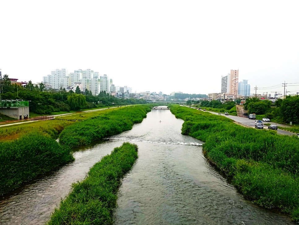 호음산 사진 5
