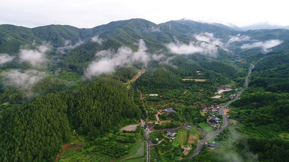 구봉산전망대카페 사진 3