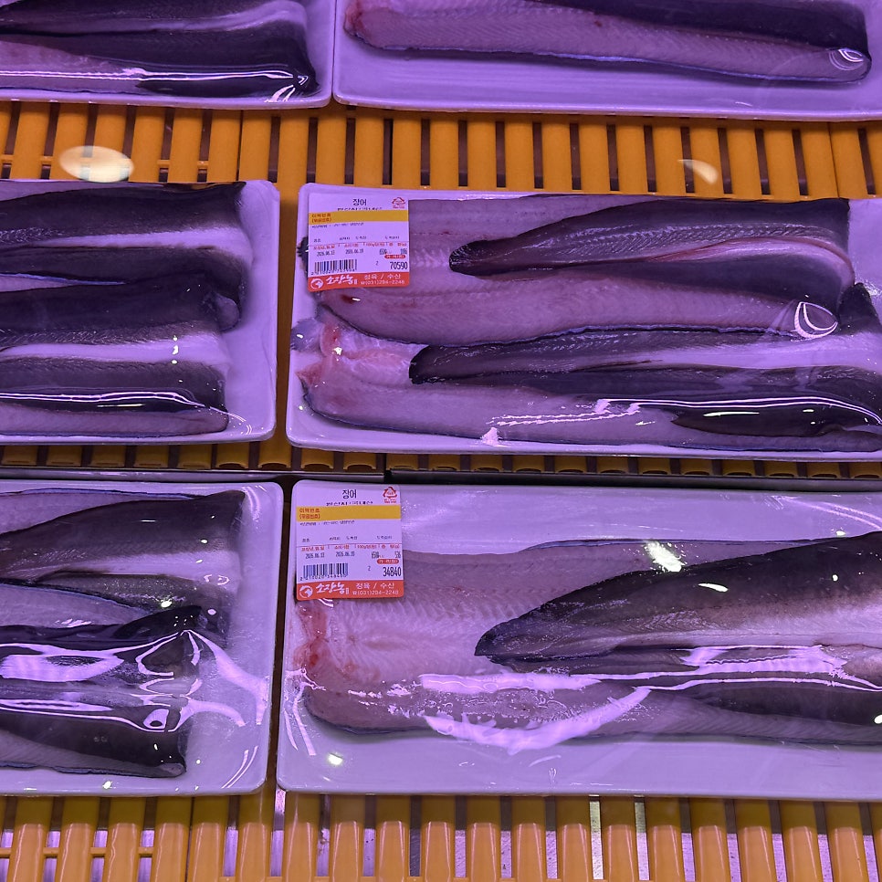 풍천민물장어 사진 3