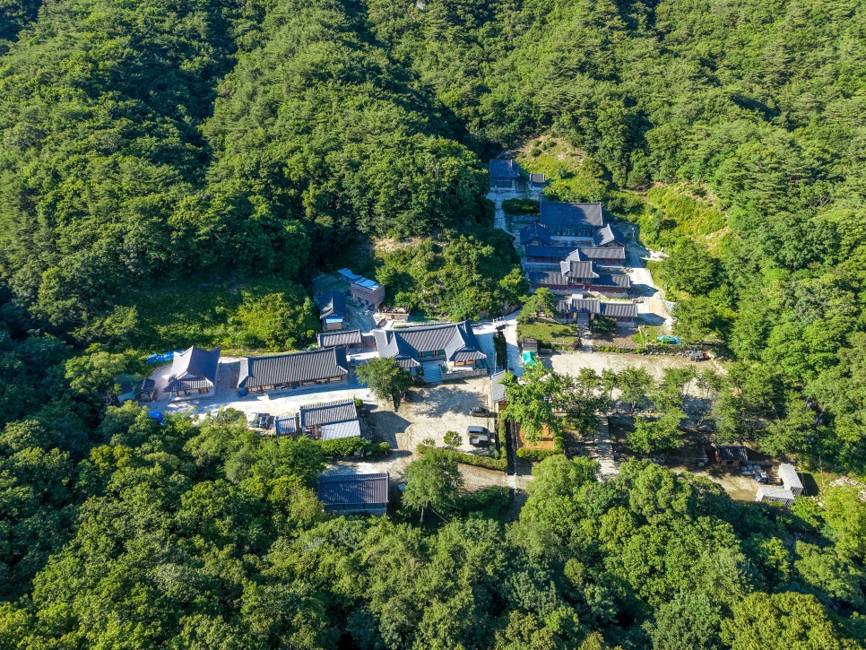세향다원 사진 1