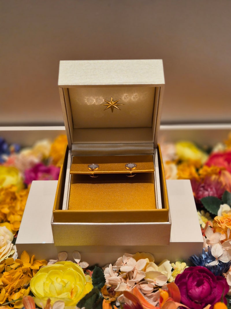 [Bvlgari] 불가리 불가리 귀걸이 싱글이어링 자개(MOP) 6개월 착용 후기 | 데일리 명품 귀걸이, 반....