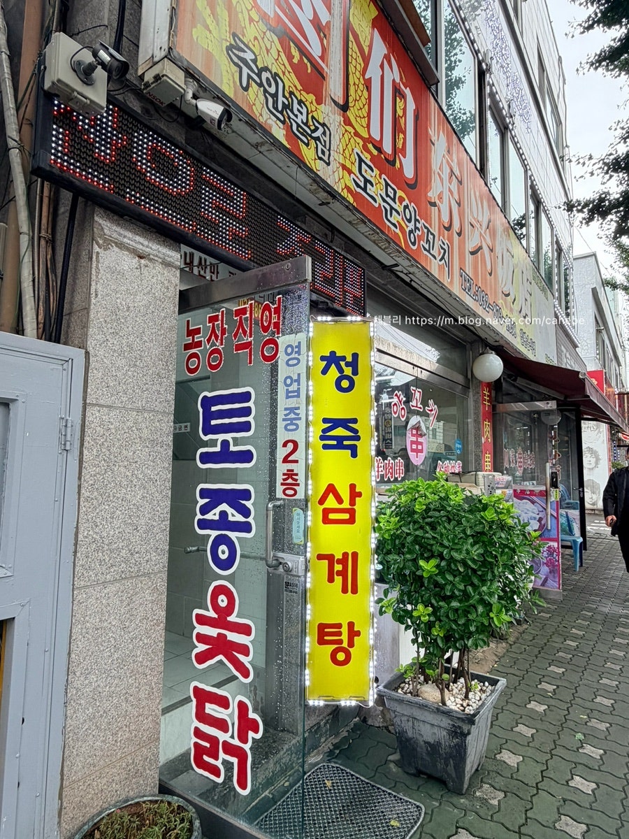 청죽삼계탕 사진 2