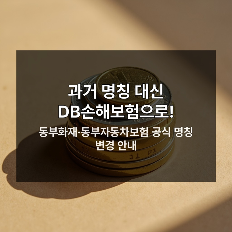 DB손해보험 고객센터 안 알면 사고 후 멘붕 온다