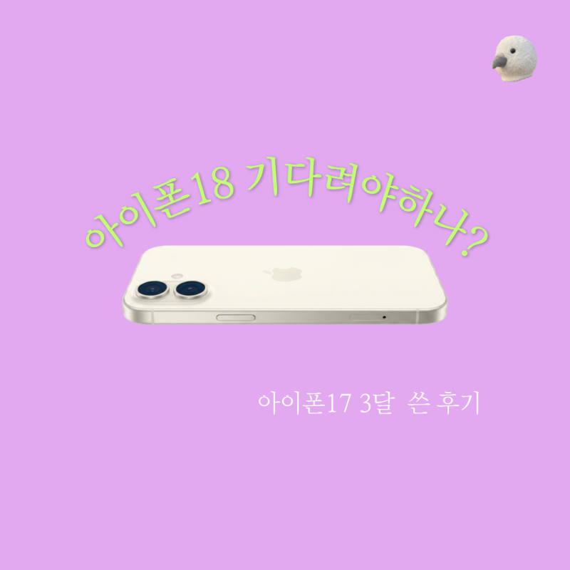 아이폰12미니 5년 쓰다 아이폰17로 갈아탄 후기 (이거 진짜 가성비 맞아?)