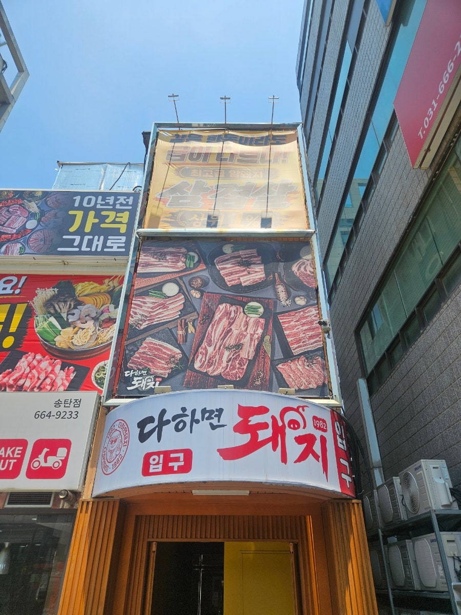 다하면돼지1982 사진 2