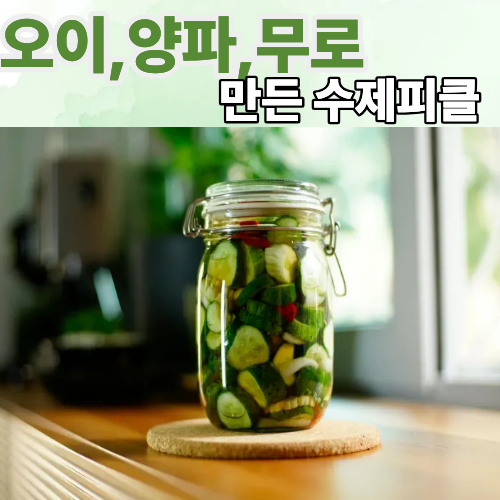 아삭한 수제피클 만드는 방법 오이피클 오이 양파 무로 만드는 피클 레시피