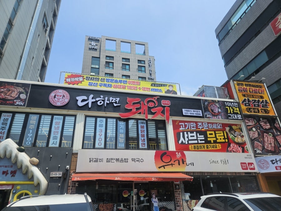 다하면돼지1982 사진 1