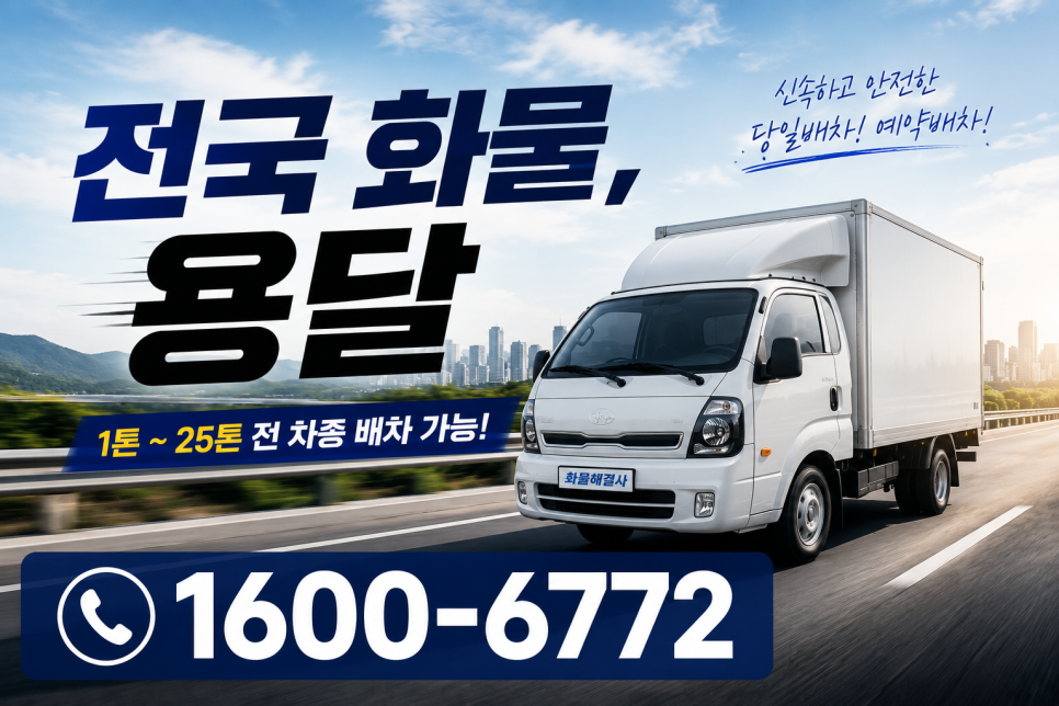 다인 사진 6