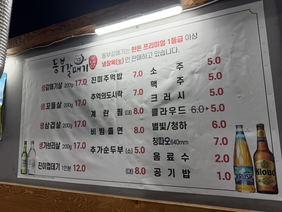 동부갈매기 사진 4