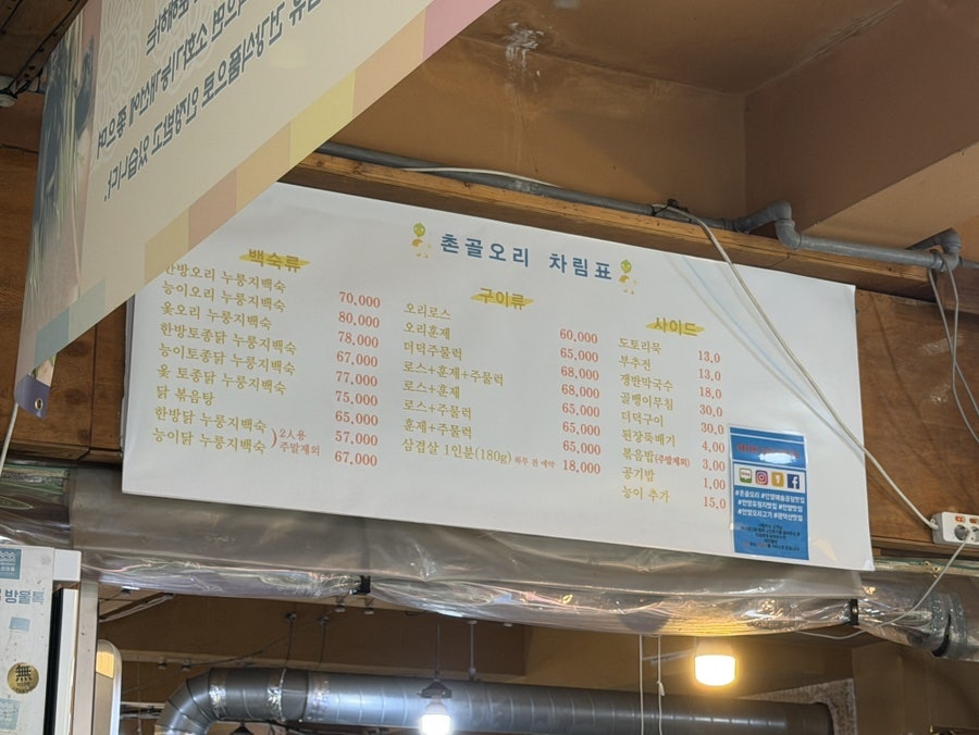촌골오리 사진 2