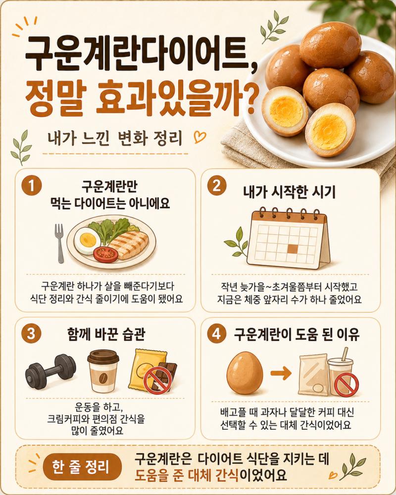 구운계란 다이어트 효과있을까? 단백질 함량부터 보관방법까지