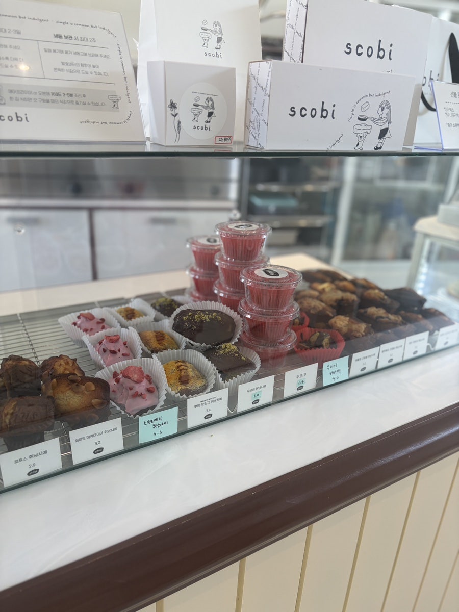 스코비 사진 4