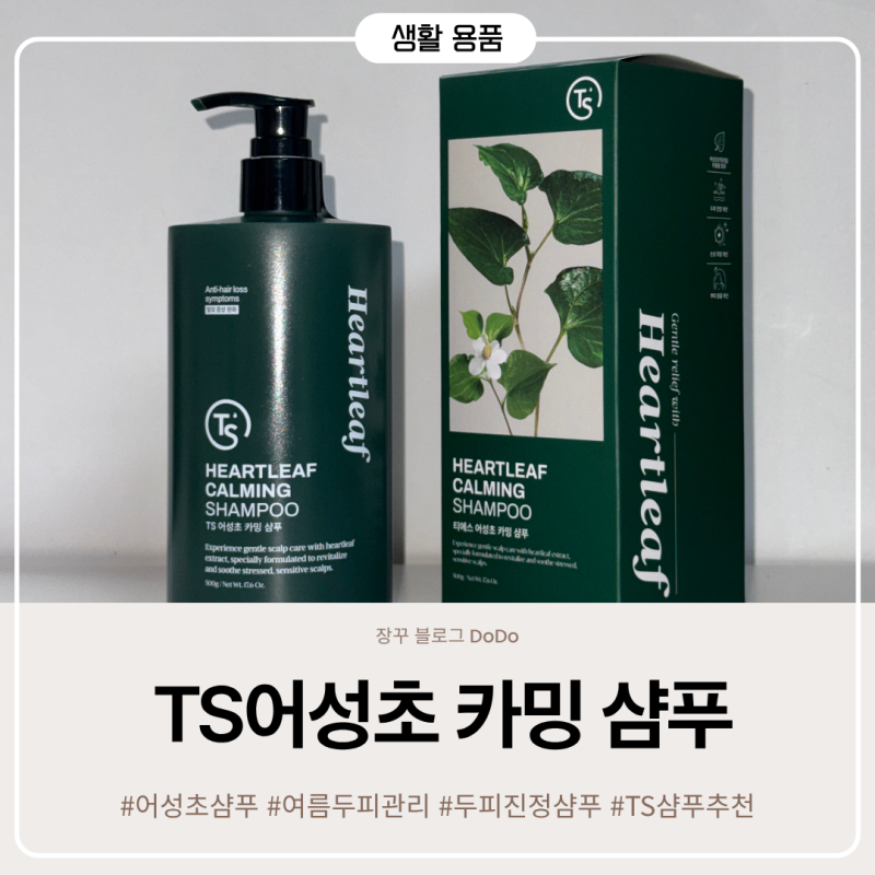 여름 두피관리 필수 템 TS어성초 카밍 샴푸로 두피 진정과 뿌리 볼륨 한 번에 챙겨요