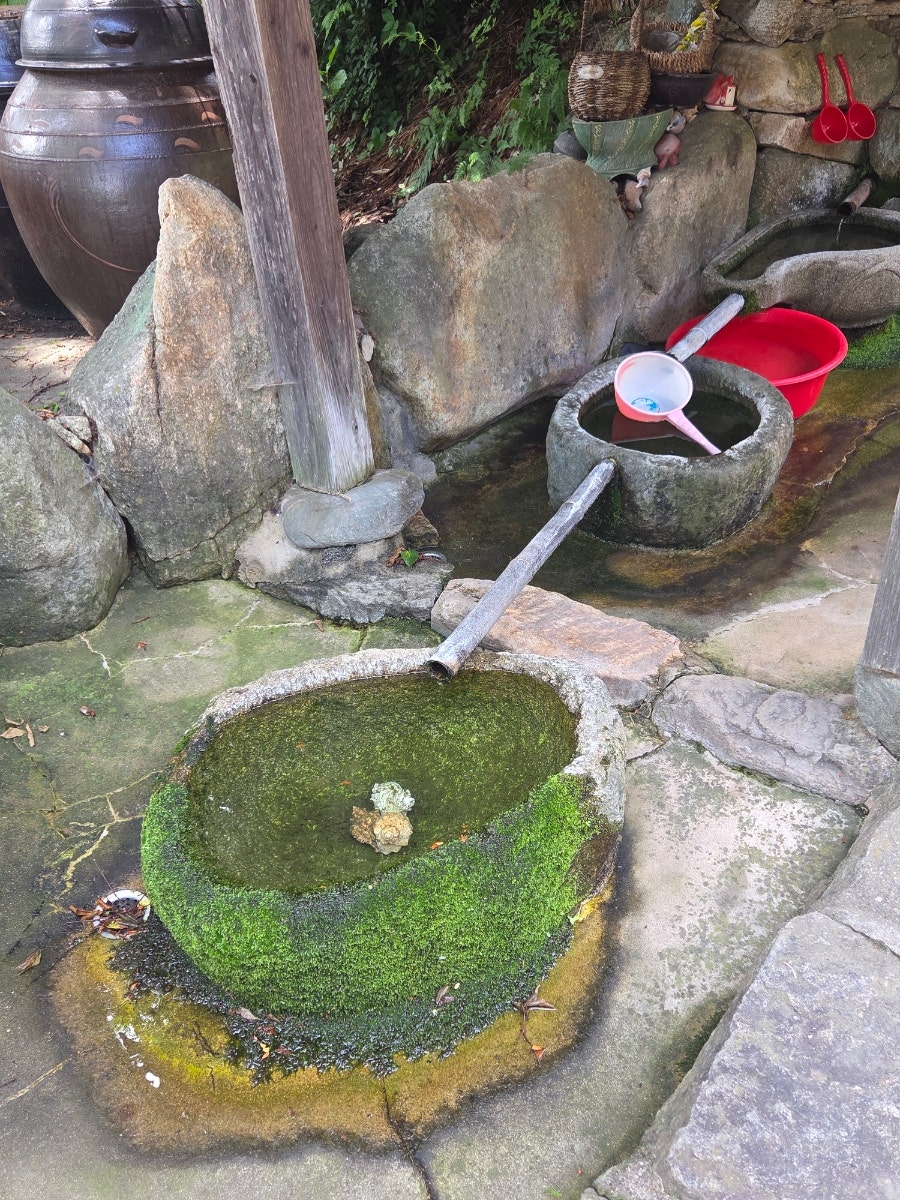청학산 사진 5