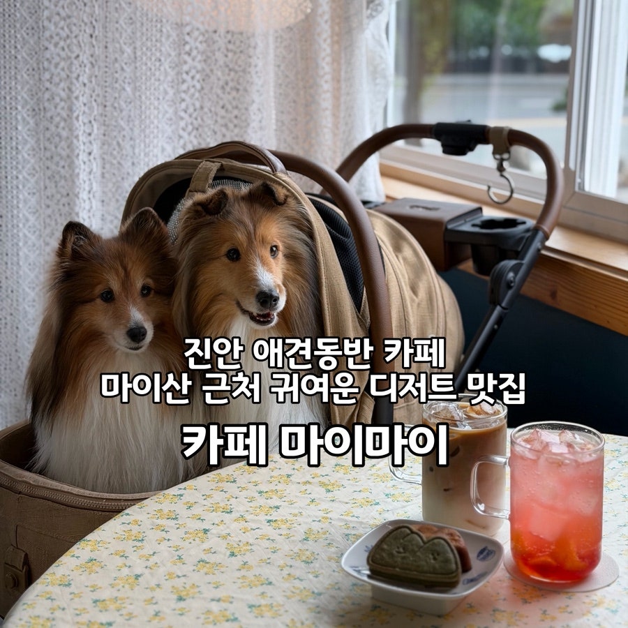 카페마이마이