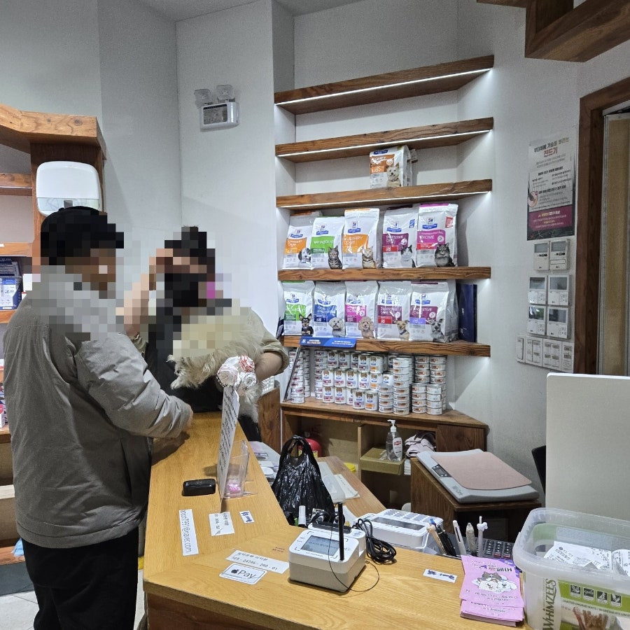 거기 사진 5