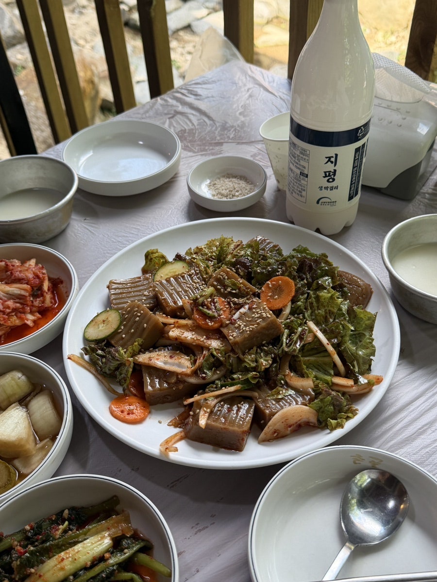 촌골오리 사진 5