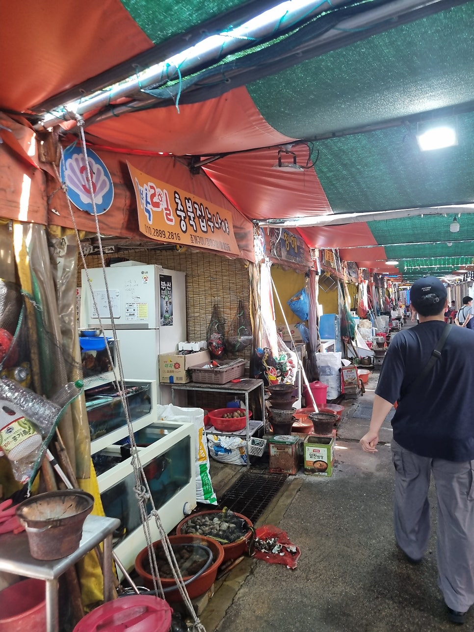 Mulmangcho photo 3