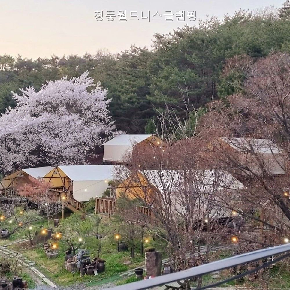 청풍월드니스글램핑 사진 5