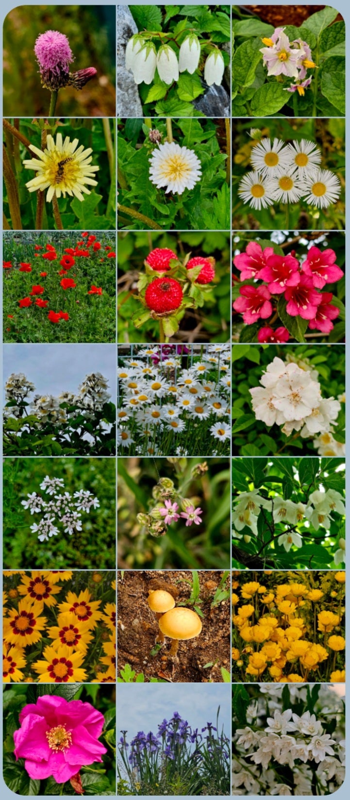덕정산 사진 1