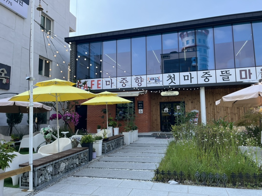 마중향 사진 1
